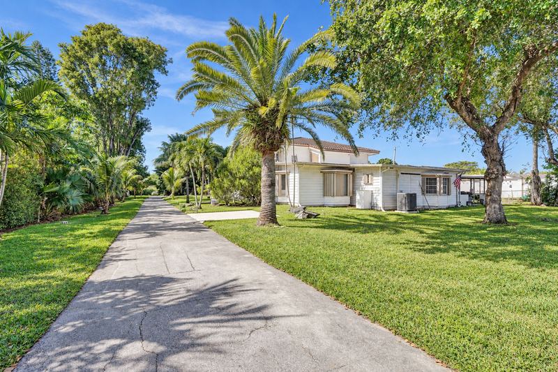 Driveway lined with palms and oaks
