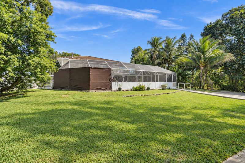 Lawn beside the pool enclosure