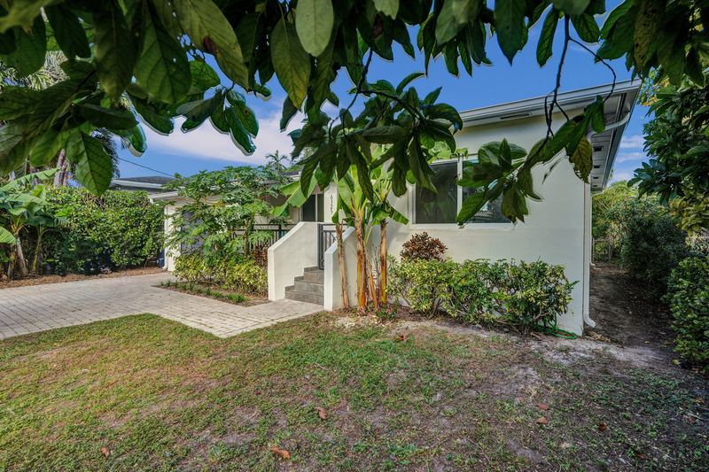 Side of the house and front steps under the tree canopy