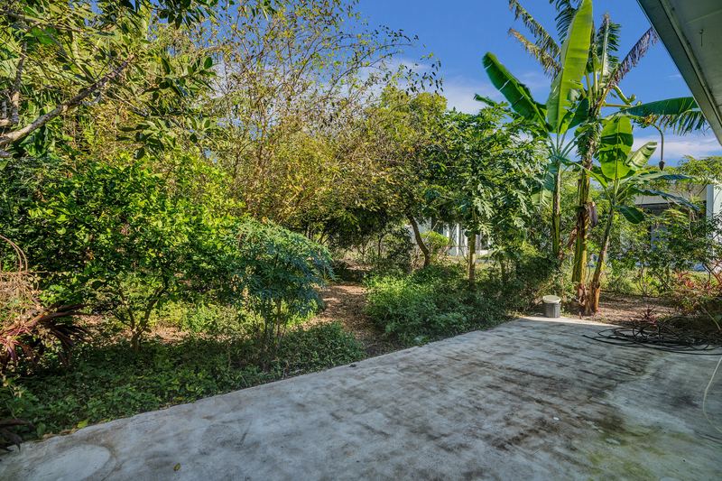 Back patio facing the deep tropical yard