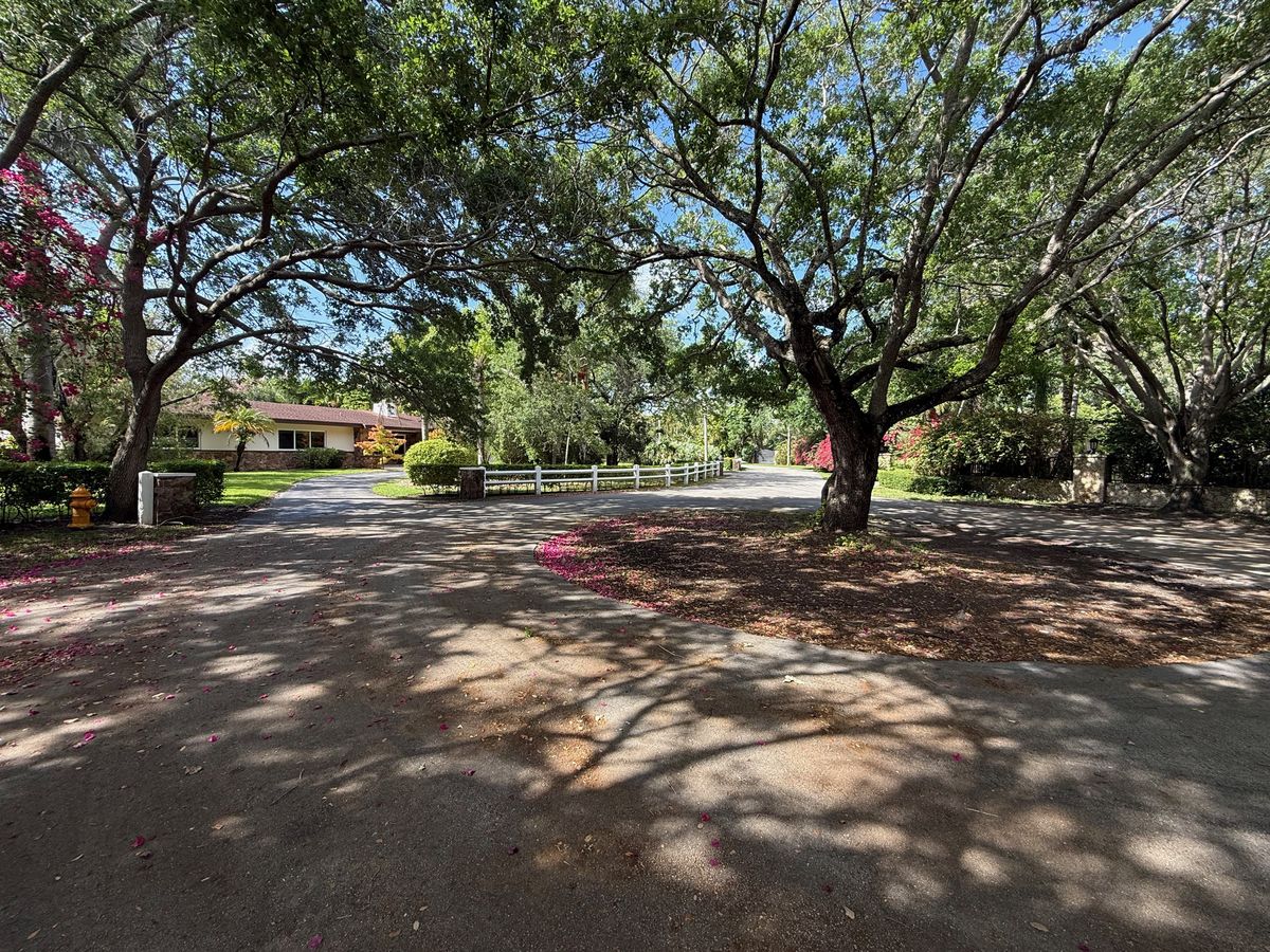 Oak canopy arching over a quiet Glenvar Heights street with a single-story ranch home and fallen bougainvillea petals