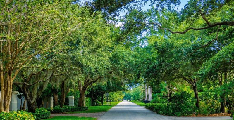 Glenvar Heights residential street