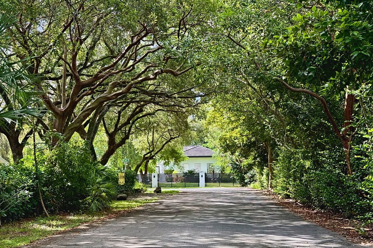 Live oak branches arching over a quiet residential street in Glenvar Heights, with a white home behind a gate at the far end